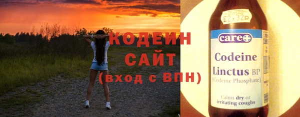 ГАЛЛЮЦИНОГЕННЫЕ ГРИБЫ Гусев