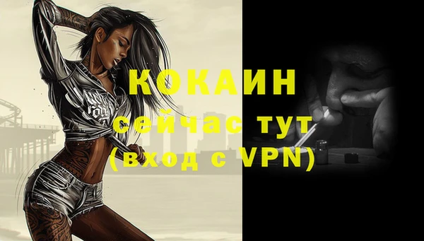 ГАЛЛЮЦИНОГЕННЫЕ ГРИБЫ Гусев