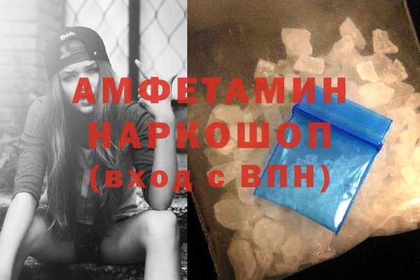 ГАЛЛЮЦИНОГЕННЫЕ ГРИБЫ Гусев